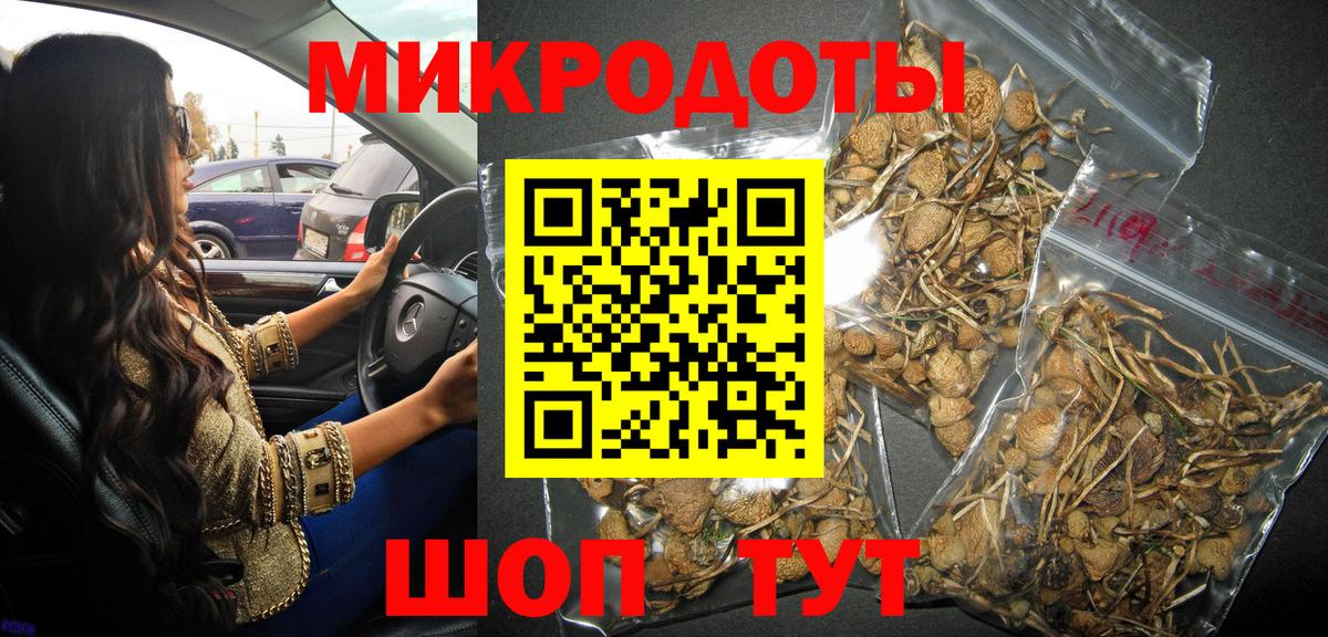Псилоцибиновые грибы Cubensis Звенигород