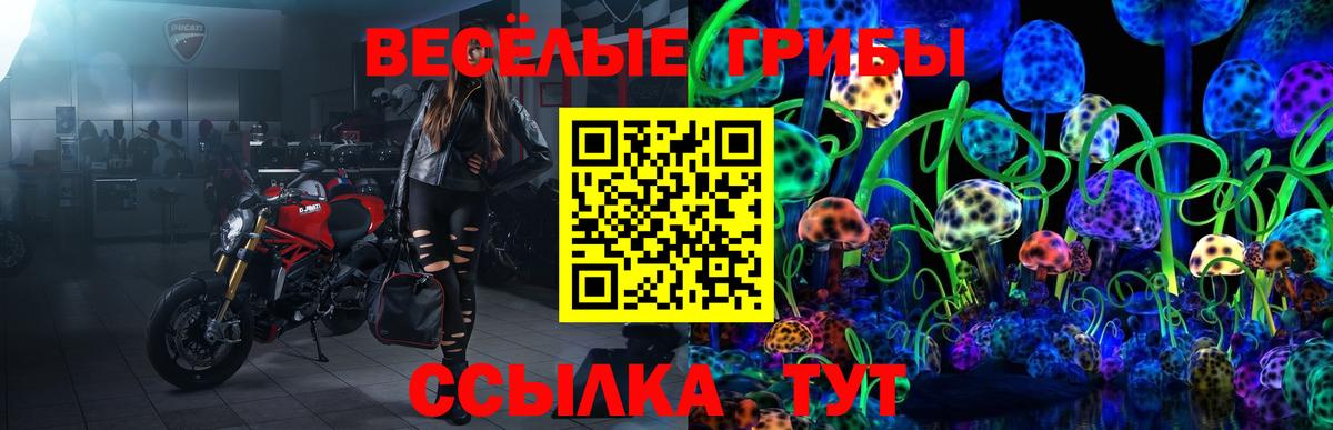 хочу наркоту  Вход с VPN  Звенигород  Галлюциногенные грибы мицелий 
