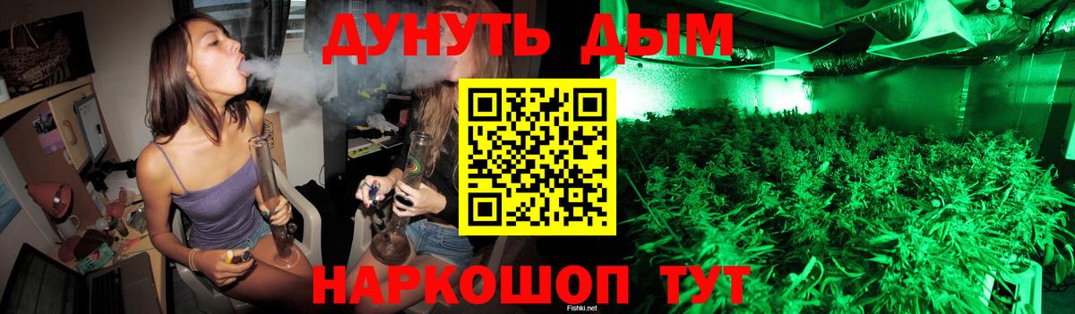 Марихуана сатива Звенигород